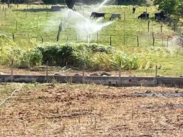 Sítio e chácara venda em Jucurutu, Região Nordeste