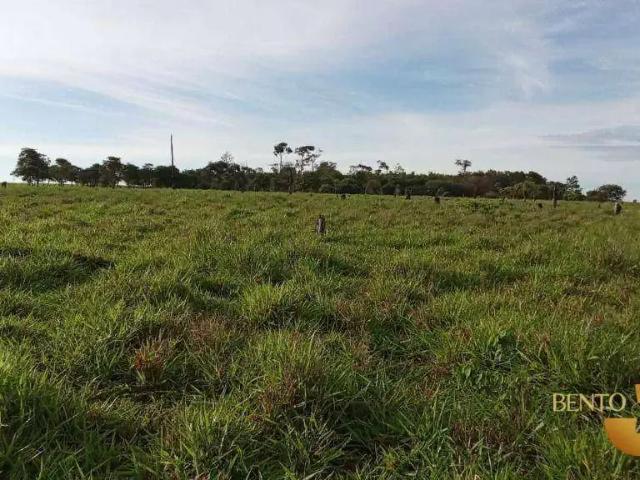 Sítio e chácara venda em Região Geográfica Imediata de Juína, Juína