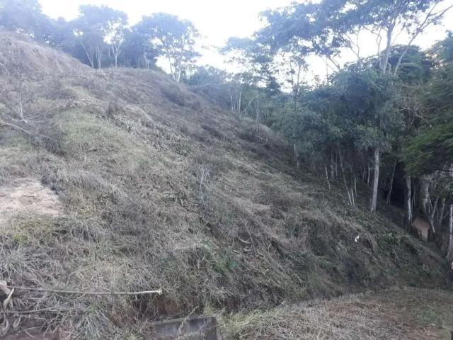 Sítio e chácara venda em Região Geográfica Imediata de Juiz de Fora, Juiz de Fora