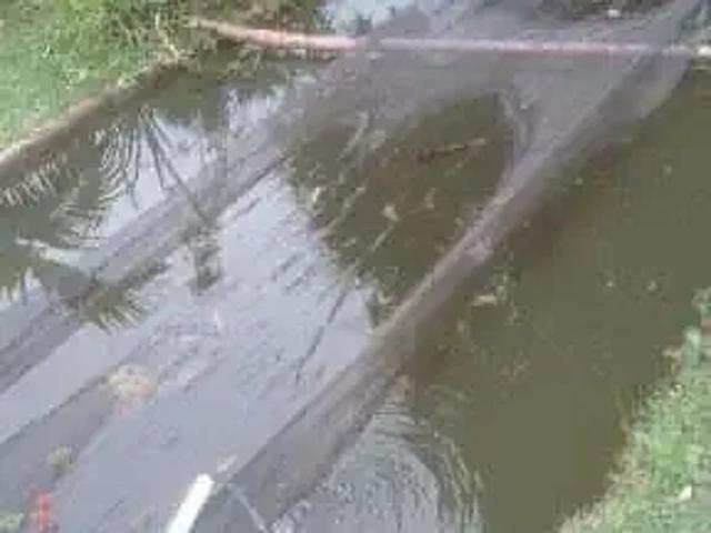 Sítio e chácara venda em Região Geográfica Imediata de Juiz de Fora, Juiz de Fora