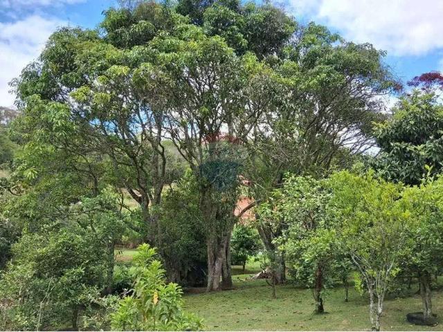 Sítio e chácara venda em Região Geográfica Imediata de Juiz de Fora, Juiz de Fora