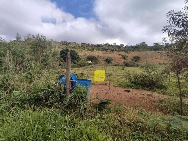 Sítio e chácara venda em Região Geográfica Imediata de Juiz de Fora, Juiz de Fora