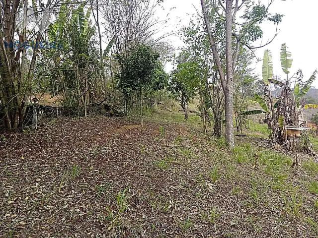 Sítio e chácara venda em Região Geográfica Imediata de Juiz de Fora, Juiz de Fora