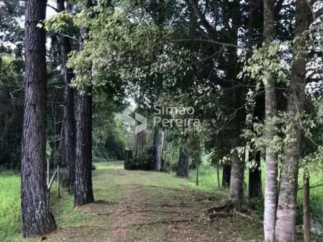 Sítio e chácara venda em Região Geográfica Imediata de Juiz de Fora, Juiz de Fora