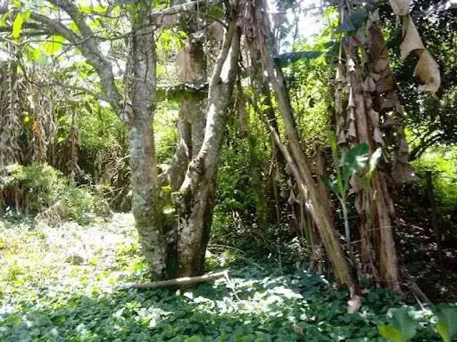 Sítio e chácara venda em Região Geográfica Imediata de Juiz de Fora, Juiz de Fora