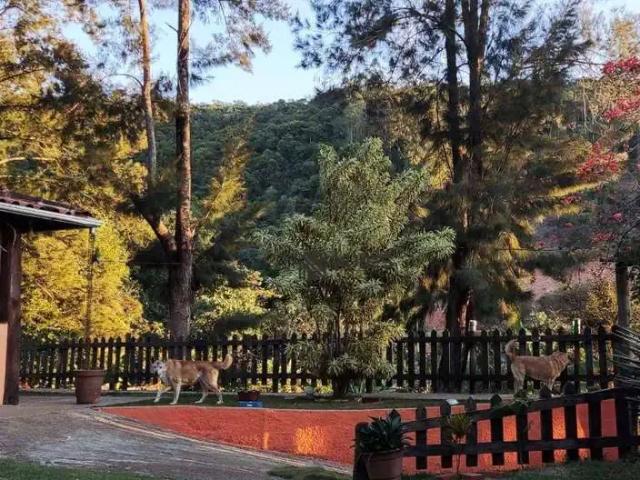 Sítio e chácara venda em Região Geográfica Imediata de Juiz de Fora, Juiz de Fora