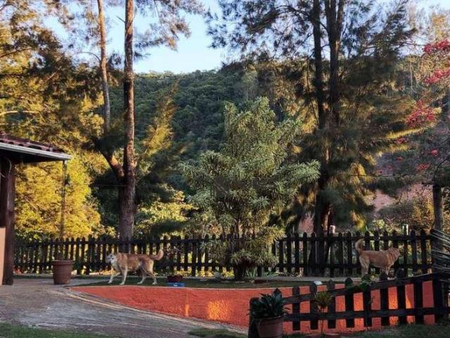 Sítio e chácara venda em Região Geográfica Imediata de Juiz de Fora, Juiz de Fora