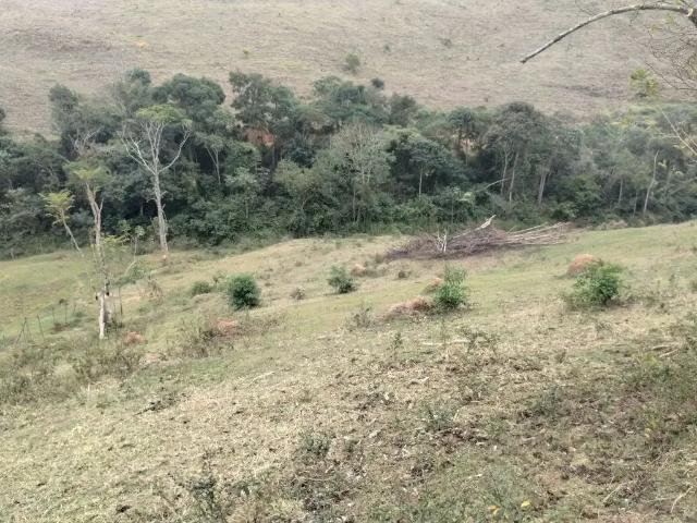Sítio e chácara venda em Região Geográfica Imediata de Juiz de Fora, Juiz de Fora