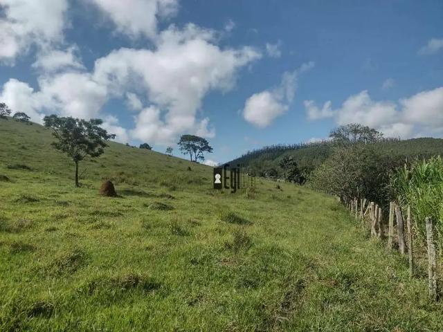 Sítio e chácara venda em Região Geográfica Imediata de Juiz de Fora, Juiz de Fora