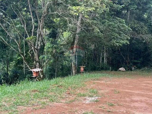 Sítio e chácara venda em Região Geográfica Imediata de Juiz de Fora, Juiz de Fora