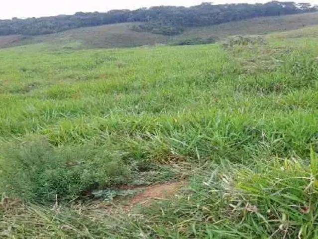 Sítio e chácara venda em Região Geográfica Imediata de Juiz de Fora, Juiz de Fora