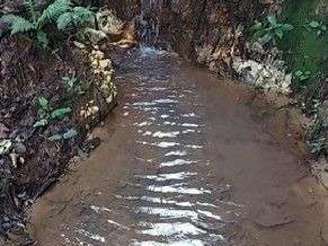 Sítio e chácara venda em Região Geográfica Imediata de Juiz de Fora, Pedro Teixeira