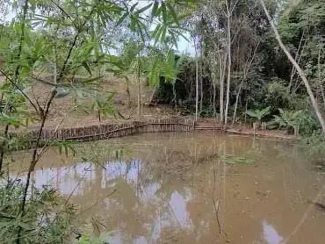 Sítio e chácara venda em Região Geográfica Imediata de Juiz de Fora, Juiz de Fora