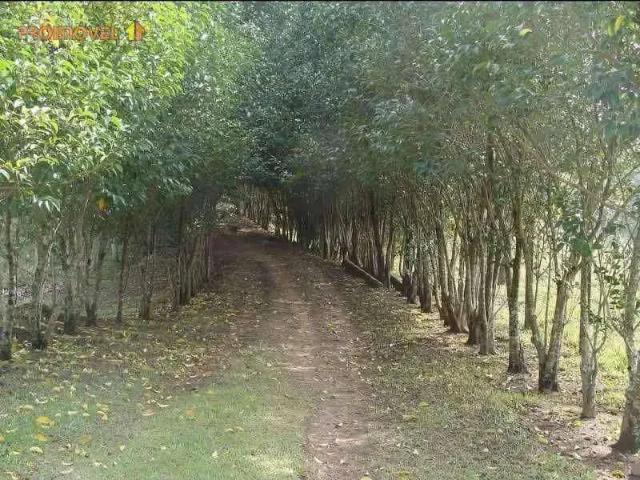 Sítio e chácara venda em Nova Jumirim, Jumirim