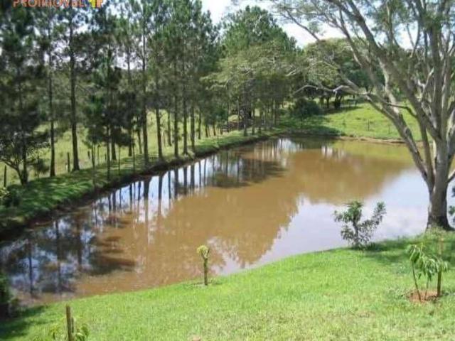 Sítio e chácara venda em Nova Jumirim, Jumirim