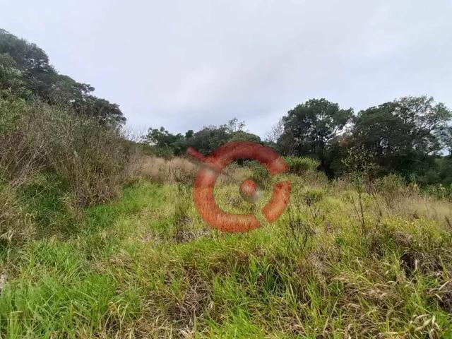 Sítio e chácara venda em Jundiaí
