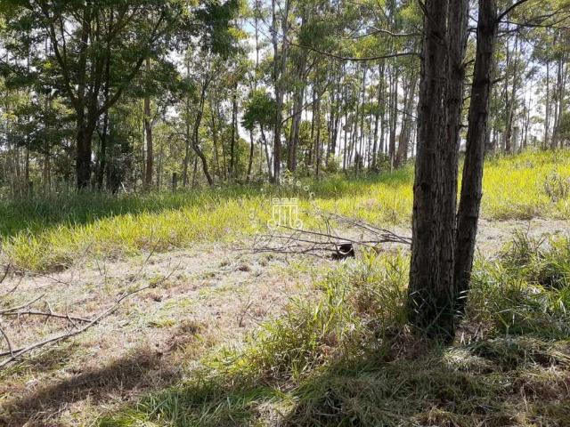 Sítio e chácara venda em Jundiaí