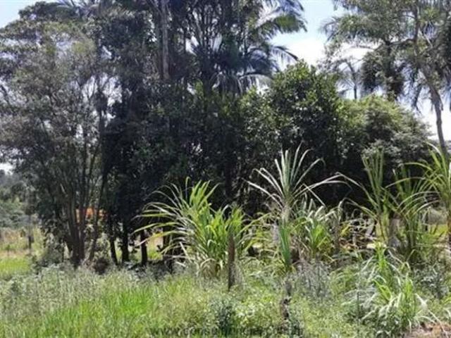 Sítio e chácara venda em Jundiaí