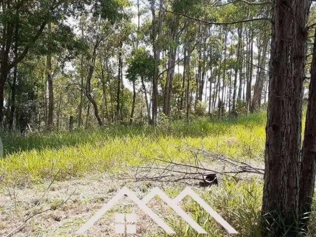 Sítio e chácara venda em Região Imediata de Jundiaí, Jundiaí