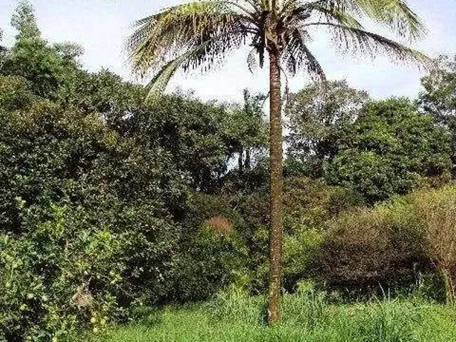 Sítio e chácara venda em Região Imediata de Jundiaí, Jundiaí