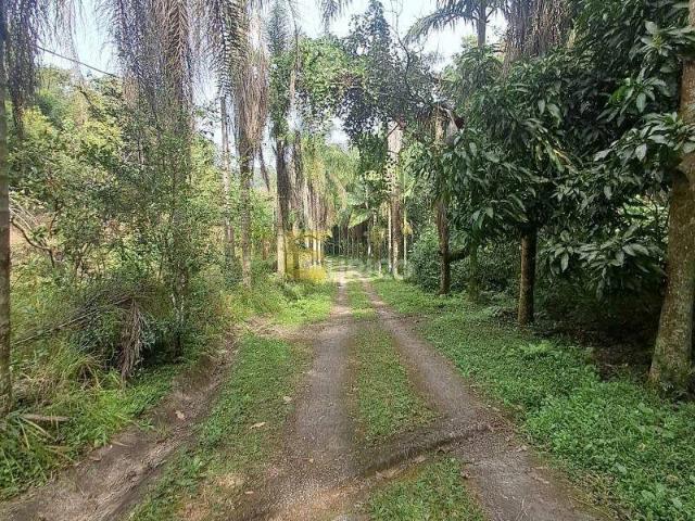 Sítio e chácara venda em Jundiaí