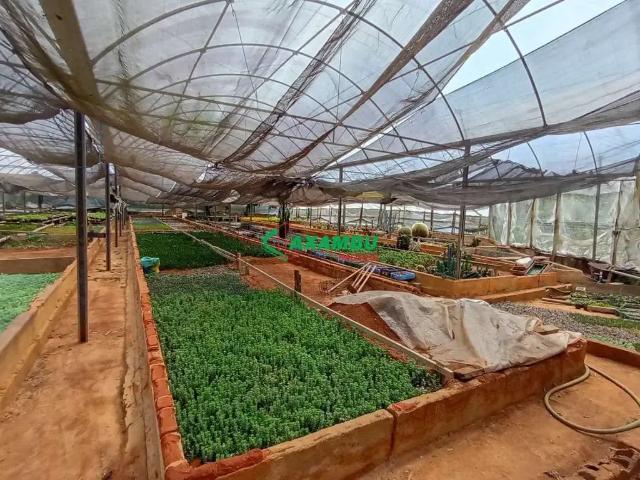 Sítio e chácara venda em Região Imediata de Jundiaí, Jundiaí
