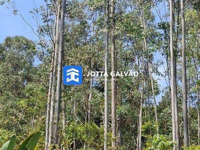 Sítio e chácara venda em Juquiá