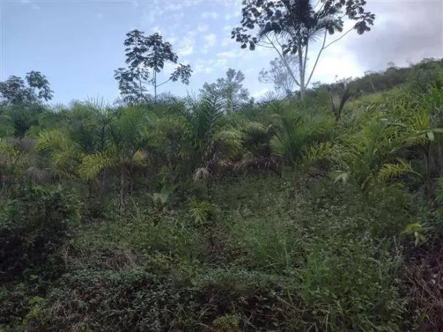 Sítio e chácara venda em Região Imediata de São Carlos, Descalvado