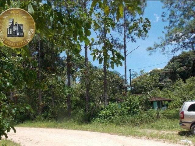 Sítio e chácara venda em Região Imediata de Registro, Juquia