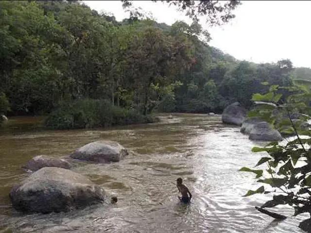 Sítio e chácara venda em Região Imediata de Registro, Juquia