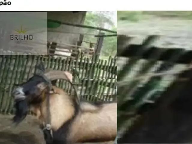 Sítio e chácara venda em Vila Sanches, Juquia