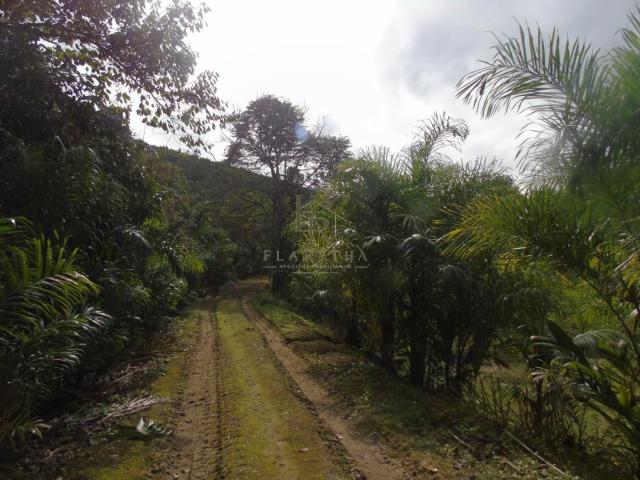Sítio e chácara venda em Juquiá, Região Geográfica Intermediária de Sorocaba