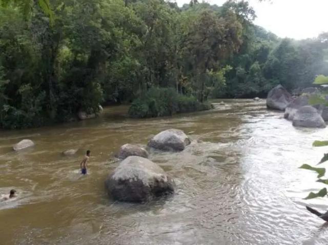 Sítio e chácara venda em Região Imediata de Registro, Juquia