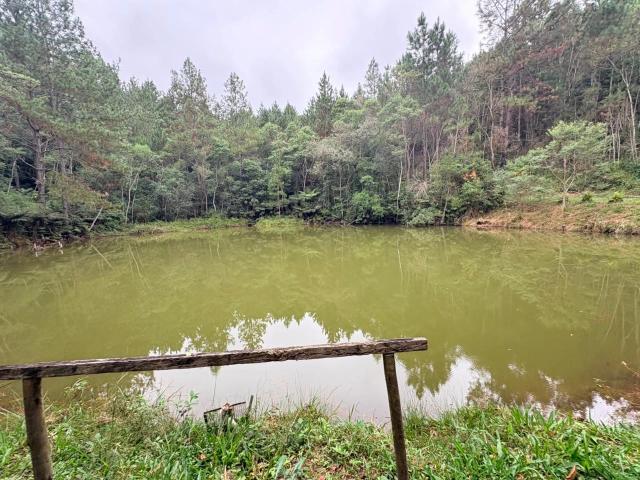 Sítio e chácara venda em Região Imediata de São Paulo, Região Metropolitana de São Paulo