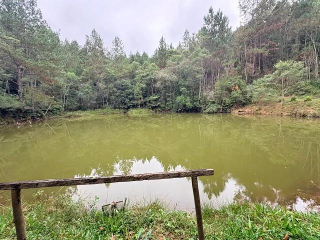 Sítio e chácara venda em Região Imediata de São Paulo, Região Metropolitana de São Paulo