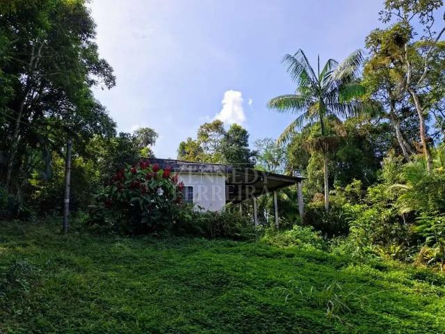 Sítio e chácara venda em Juquitiba