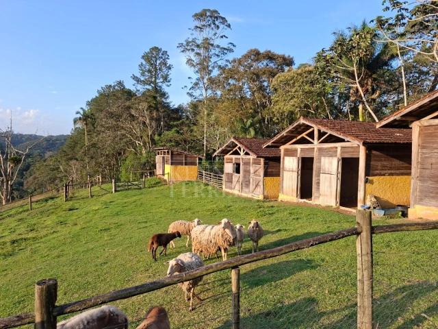 Sítio e chácara venda em Juquitiba, Região Geográfica Intermediária de São Paulo