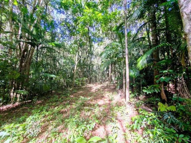 Sítio e chácara venda em Região Imediata de São Paulo, Região Metropolitana de São Paulo