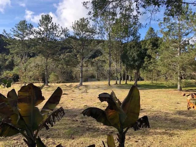 Sítio e chácara venda em Região Imediata de São Paulo, Região Metropolitana de São Paulo