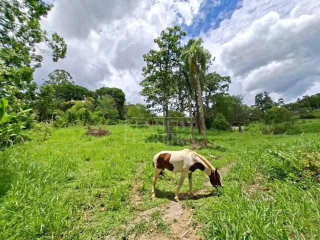 Sítio e chácara venda em Região Imediata de São Paulo, Região Metropolitana de São Paulo