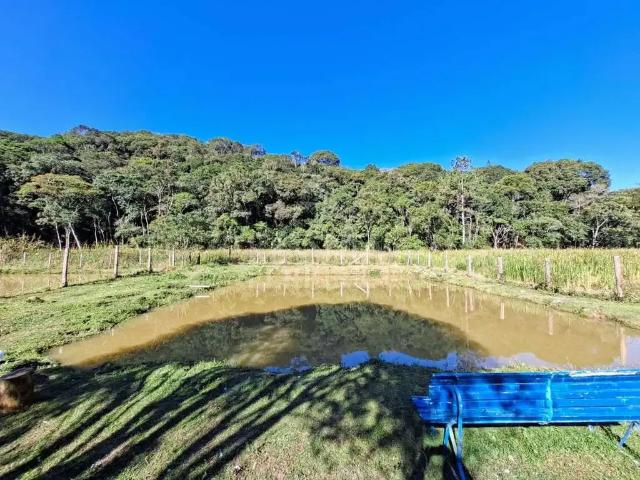 Sítio e chácara venda em Região Imediata de São Paulo, Região Metropolitana de São Paulo