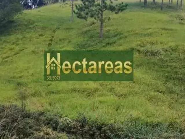 Sítio e chácara venda em Região Imediata de São Paulo, Região Metropolitana de São Paulo