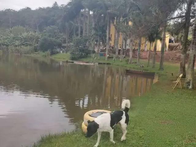 Sítio e chácara venda em Região Imediata de São Paulo, Região Metropolitana de São Paulo