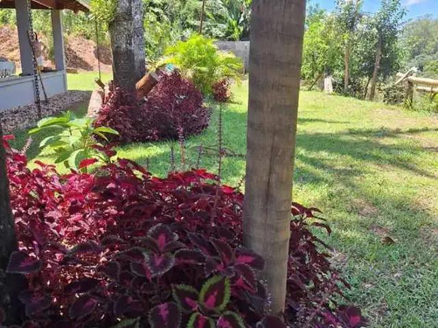 Sítio e chácara venda em Região Geográfica Imediata de Guaxupé, Juruaia