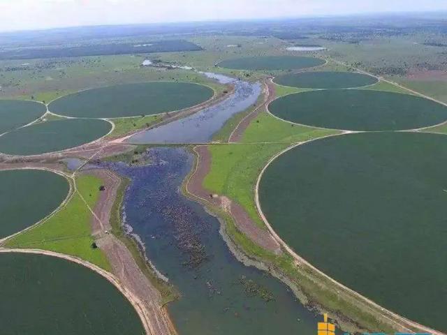 Sítio e chácara venda em Região Geográfica Imediata de Goiás - Itapuranga, Jussara