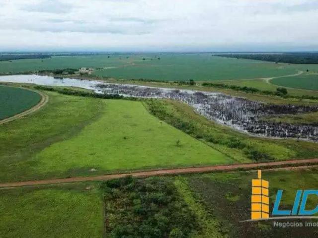 Sítio e chácara venda em Região Geográfica Imediata de Goiás - Itapuranga, Jussara