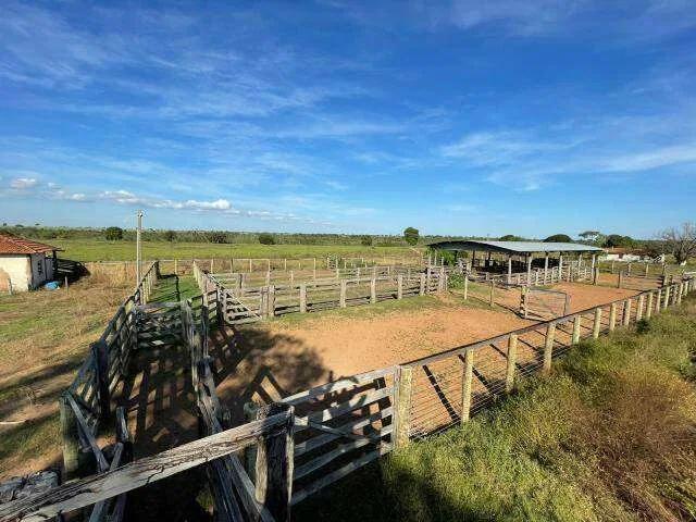Sítio e chácara venda em Região Geográfica Imediata de Goiás - Itapuranga, Jussara