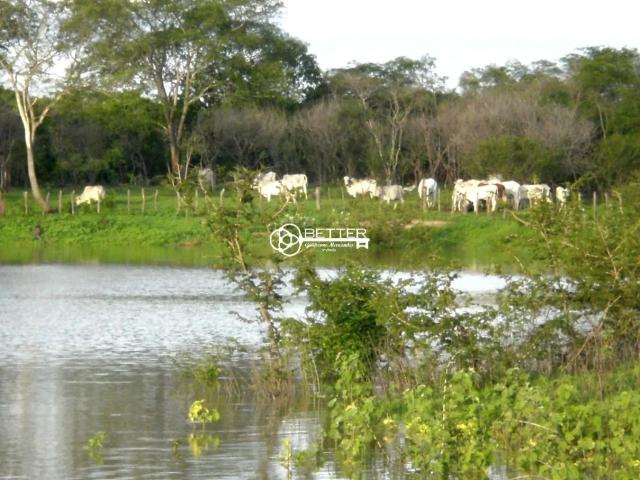 Sítio e chácara venda em Juvenília, Região Geográfica Intermediária de Montes Claros