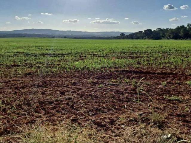 Sítio e chácara venda em Lagamar