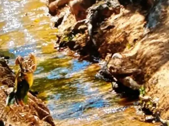 Sítio e chácara venda em Região Geográfica Imediata de Patos de Minas, Lagamar